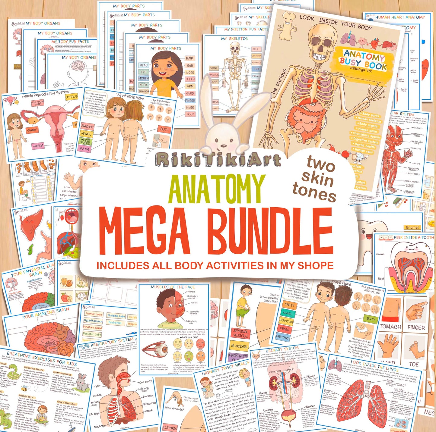 Human Anatomy Learning Bundle – Systems, Organs & Body Parts Worksheets